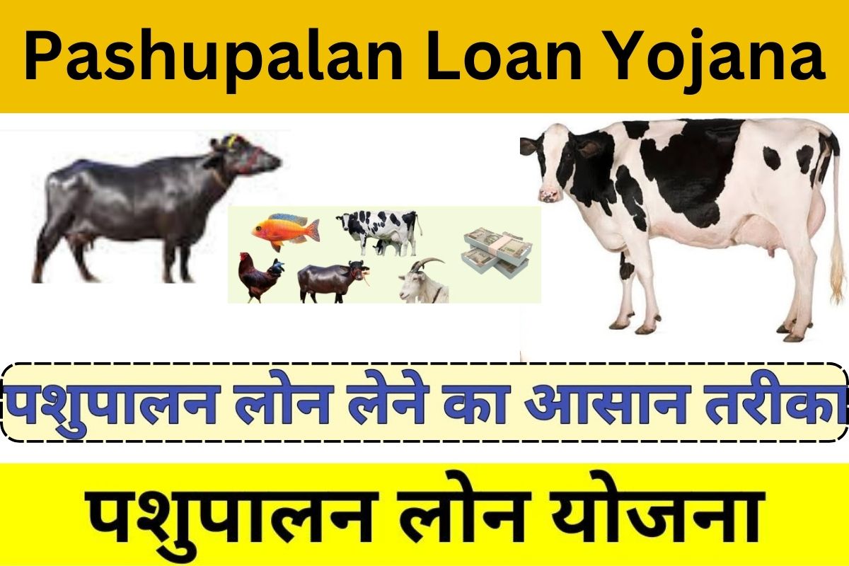 Pashupalan Loan Yojana